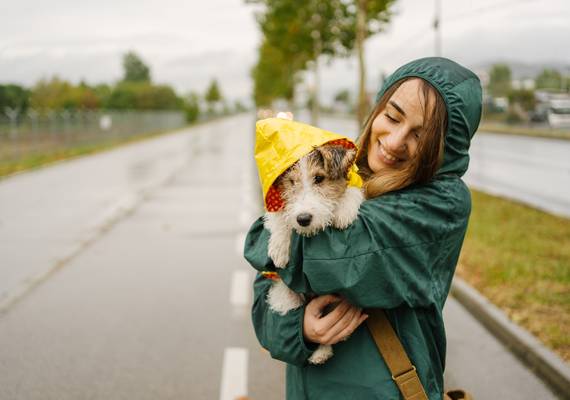 Warme herfstdagen maken plaats voor kouder oktoberweer