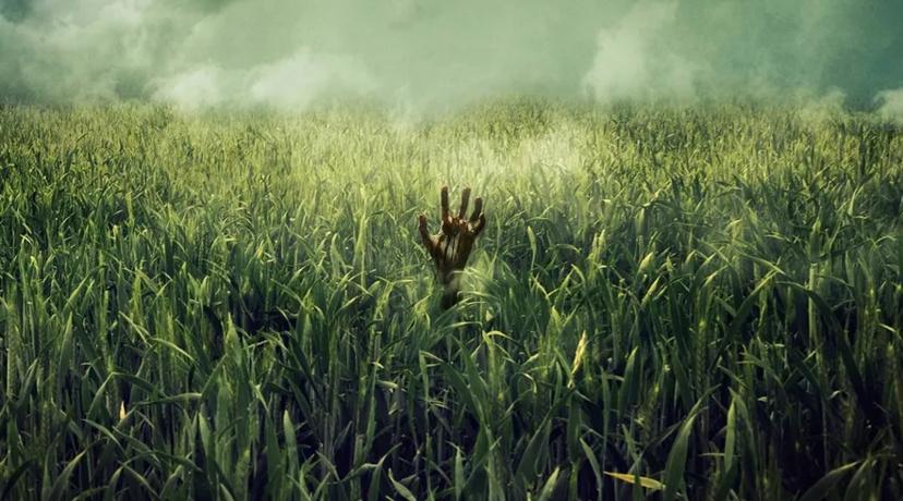 In the Tall Grass van Stephen King op Netflix