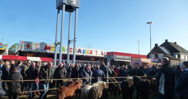 Exportkeuring paardenmarkt Hedel niet langer in Brakel