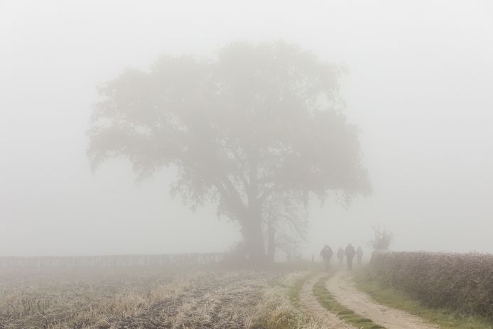 Opnieuw dichte mist, bevroren autoruiten en kans op gladheid | Nijmegen  e.o. | gelderlander.nl