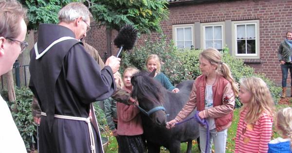 Gezegend op weg naar Dierendag | Bommelerwaard - BD.nl