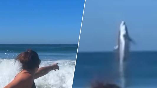 Vrouw poseert op strand, maar gilt het dan plots uit van schrik