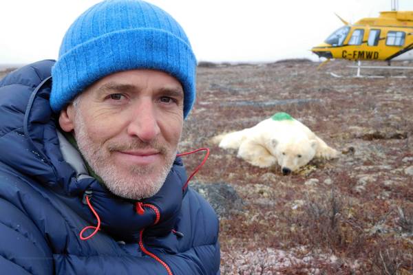 Life in Polar Bear Town with Gordon Buchanan