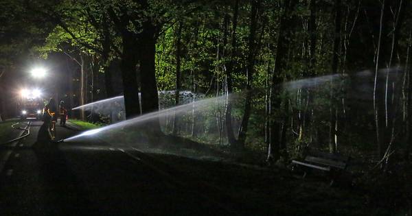 Griendtsveen ontruimt rustig | Helmond - Eindhovens Dagblad