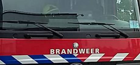Brand in boom tegen zijgevel woning Druten net op tijd geblust