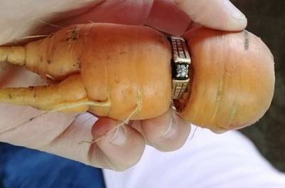 Verlovingsring na 13 jaar teruggevonden rondom een wortel