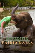 boxcover van Expeditie Pairi Daiza