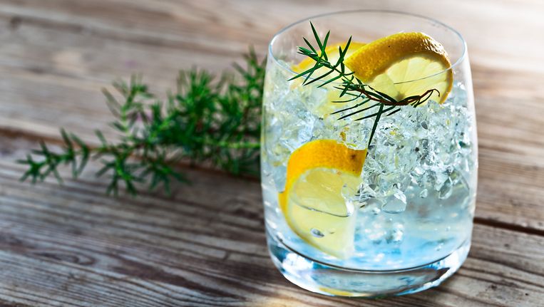 Eindelijk Een App Voor De Perfecte Gin Tonic Nina Kookt Nina
