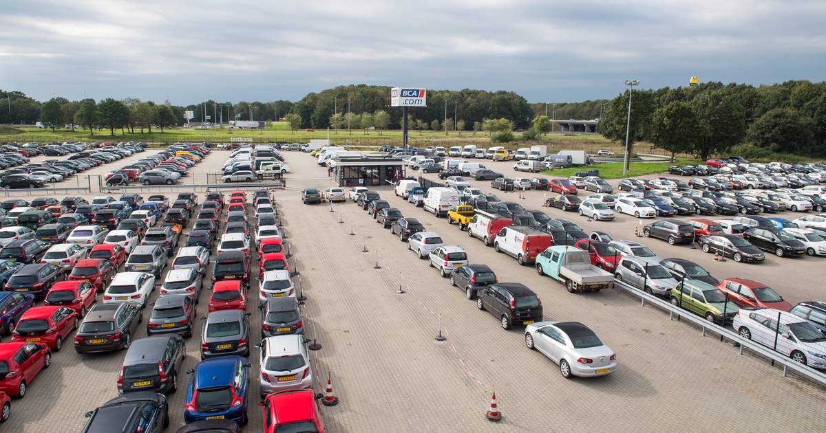 Gigantische autoveiling in Barneveld met meer dan 1000 auto’s gaat