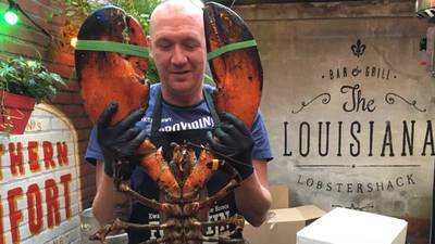 Megakreeft Louis (80) tevreden in zijn 'rusthuis' in het Dolfinarium