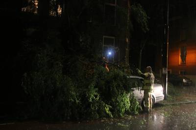 Harde wind houdt huis: schade door omgevallen bomen