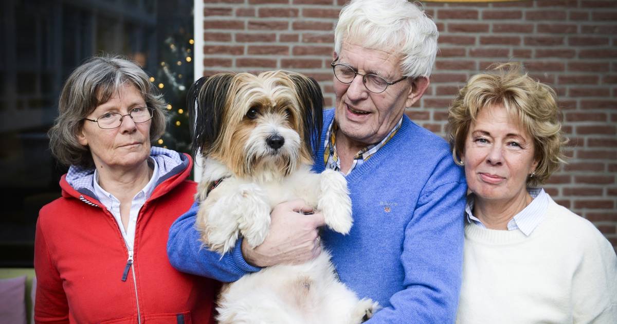 Vuurwerk Verboden Hond Blij Amersfoort Ad Nl