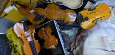 Vrouw sloopt 54 kostbare violen van ex-man in Japan