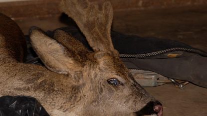 Natuurinspectie betrapte vorig jaar opnieuw meer stropers