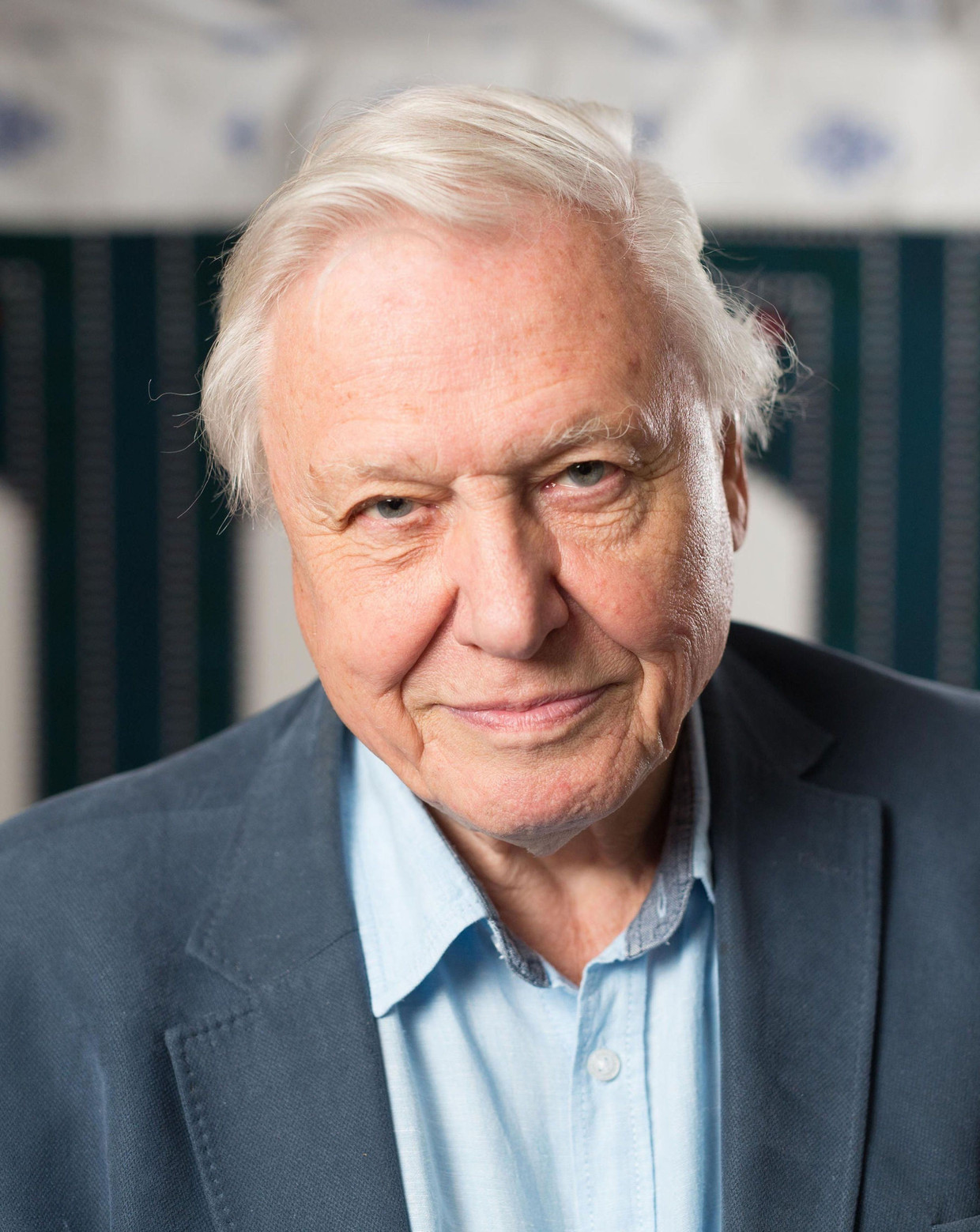 David Attenborough vertolkt ‘stem van het volk’ op VN