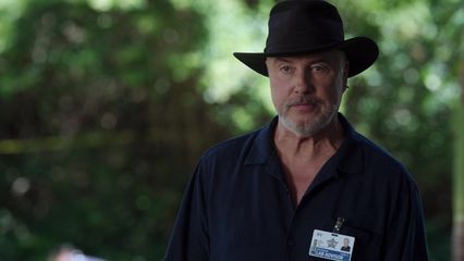 4. Un corps, un cochon et des aromates