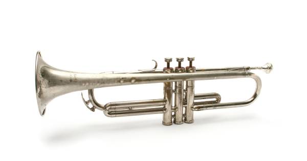 Opleidingsorkest DES Hedel sluit muzikale seizoen af met dubbelconcert