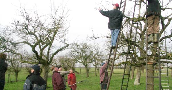 Nog geringe animo voor plukdagen