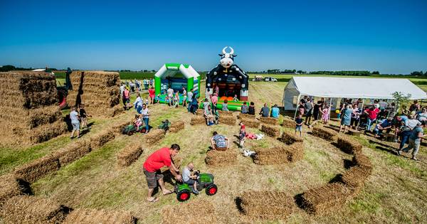 Nieuwe ingrediënten Boer & Festival Raamsdonks: Koeiendans en strobalen sjouwen - BN DeStem