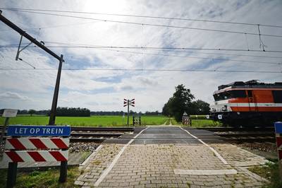 Bornerbroek gruwt van rondweg door natuur: ‘Dit hoeft echt niet, er is een goed alternatief’