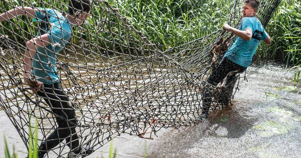 Brabants Oerparcours gaat definitief niet door wegens broedende vogels