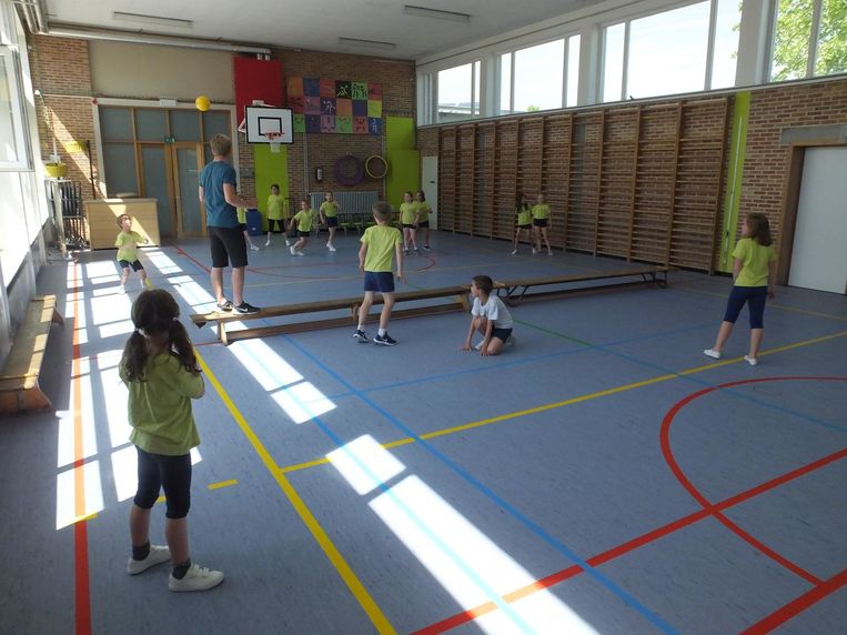 Sportzaal Driessprong Vanaf 1 Augustus Te Huur Deinze In De Buurt Hln