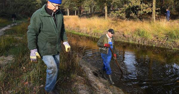 Weinig animo voor opruimactie in Gasselse Bossen
