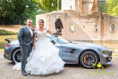 Nieuwe zoektocht bij Kasteel Duurstede naar door roofvogel verloren trouwringen