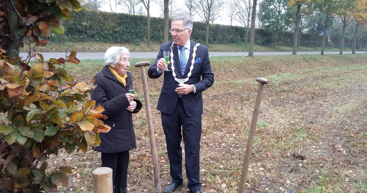 Beuk voor 100jarige Aat van der Hout uit Brouwershaven Schouwen