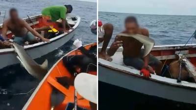 Boze reacties: Curaçaose vissers ontvinnen lachend levende haai