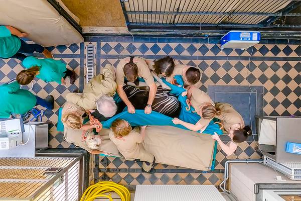 Het echte leven in de ZOO