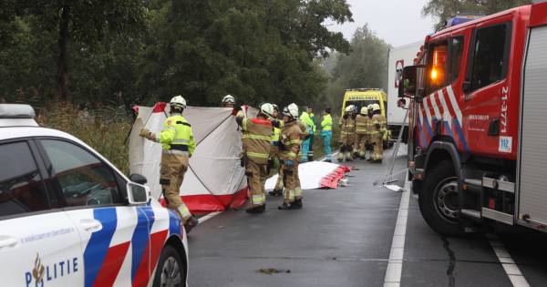 Automobilist overlijdt bij ongeval met auto en vrachtwagen bij Veghel .