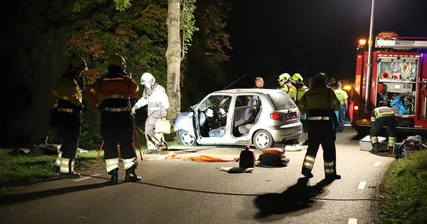 Automobiliste naar ziekenhuis na botsing tegen boom