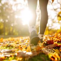 Microwandelen: dít is waarom korte wandelingen gezonder zijn