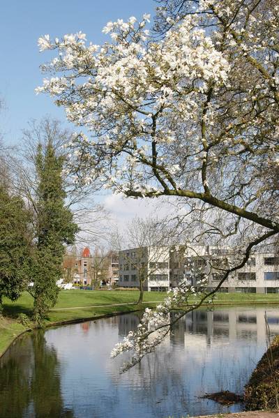Kamers voor studenten en jongeren naast WICC Wageningen