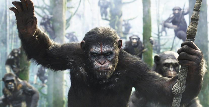 Dawn of the Planet of the Apes Landscape