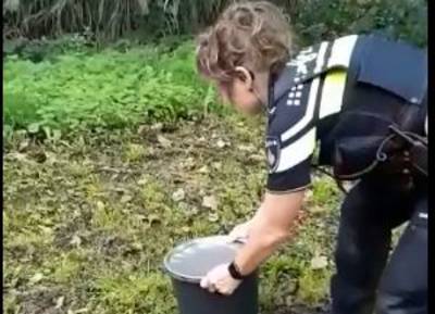 Agenten vangen slang in woning in Westervoort