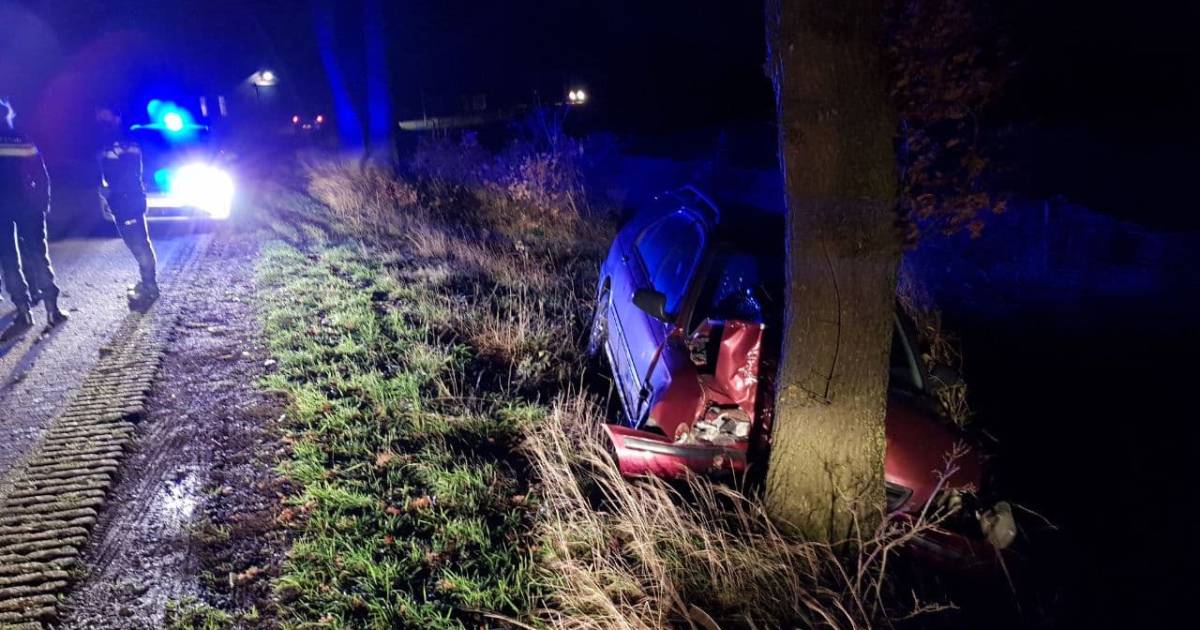 Automobilist gewond na frontale botsing tegen boom.