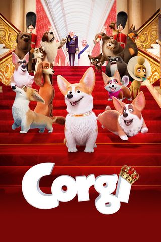 Corgi