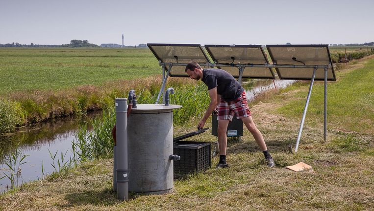 Het ei van Columbus voor Friese boeren, en ook goed voor het klimaat - Volkskrant