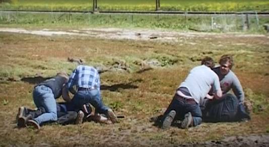 ?appId=21791a8992982cd8da851550a453bd7f&quality=0.7