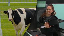 Waar legt Léonie haar koeienvlaai in Bestemming X?