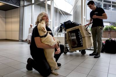 Speurhonden in Turkije aangekomen om te zoeken naar Joey