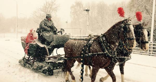Sneeuwpoppen bouwen en elfjes maken: winterpret in de regio - De Gelderlander