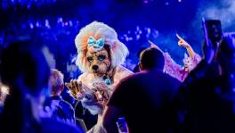 Zo klonk onze Masked Singer-winnaar in het Sportpaleis!