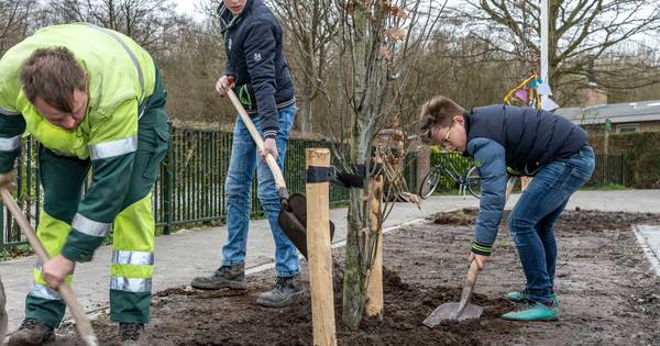 Bomen planten voor de toekomst in Kerkwerve