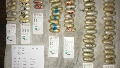 Bende uit Pisa liet vrouwen drugseieren smokkelen