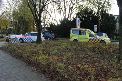 Overstekend echtpaar gewond bij aanrijding, hondje dood