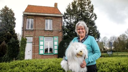 Binnenkijken In Het Echte Huis Van Samson Gert Eens En Voor Altijd Mijn Bel Werkt Perfect Tv Hln Be