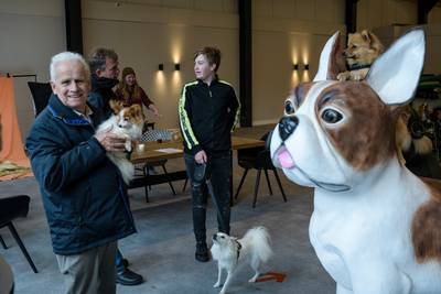 Een dierenspeciaalzaak, alleen voor honden: Bentelo heeft het
